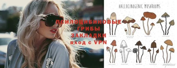 ALPHA PVP Алексеевка