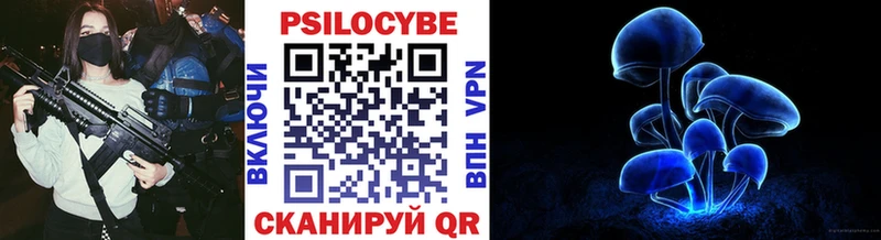 Псилоцибиновые грибы мицелий  даркнет сайт  Ейск 
