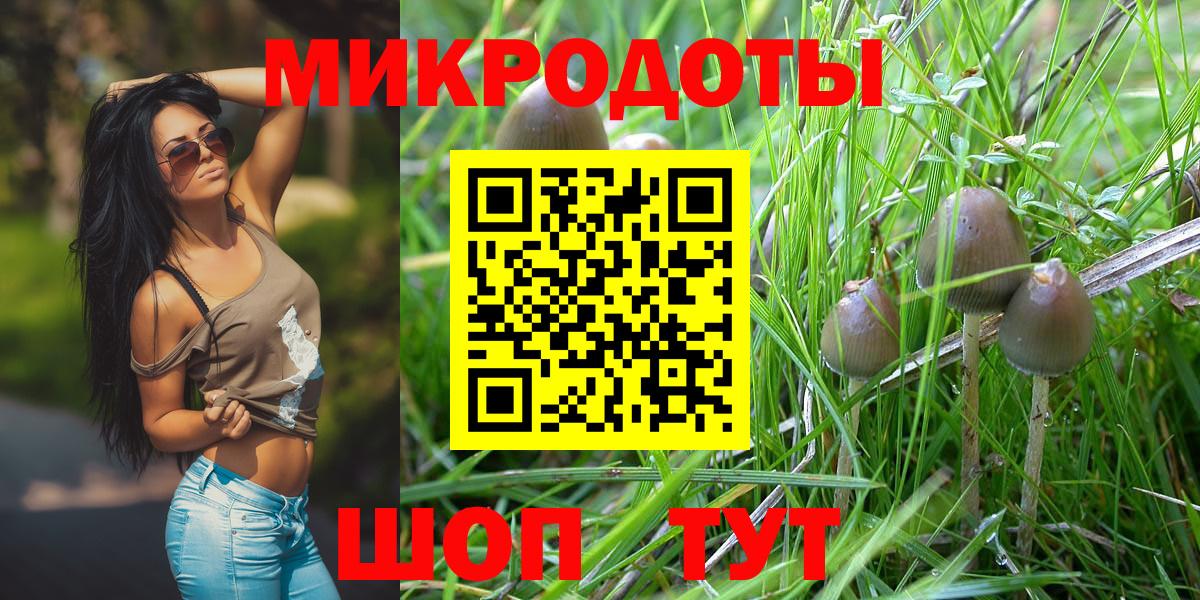 Ейск  Галлюциногенные грибы Magic Shrooms  Вход с VPN  Галлюциногенные грибы мицелий 