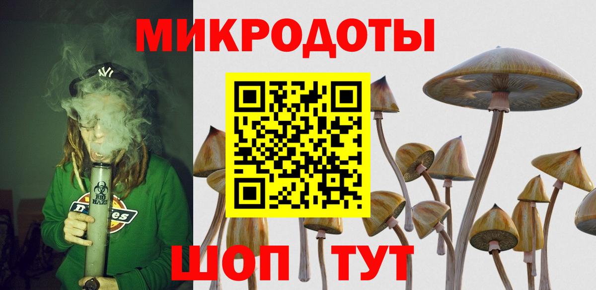 Галлюциногенные грибы Cubensis Ейск