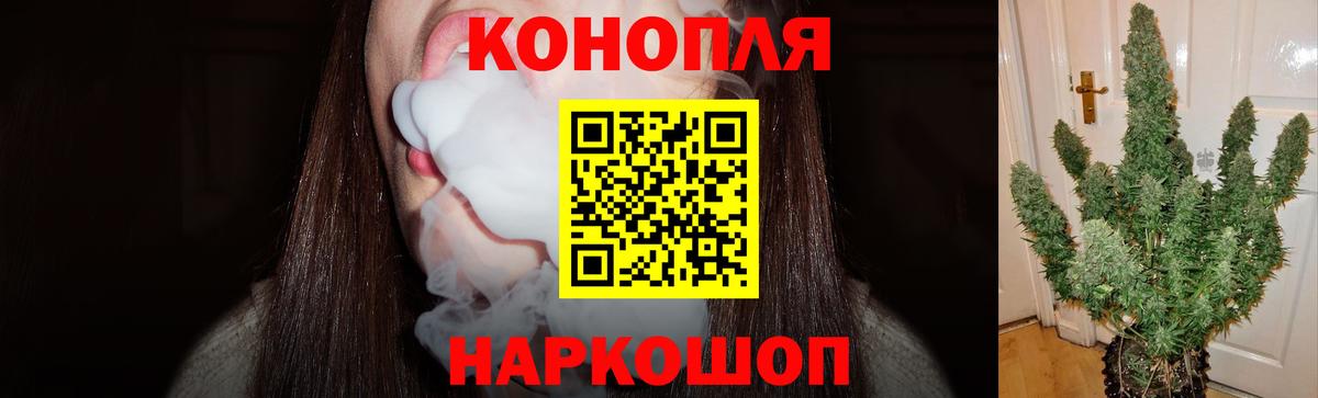 Бошки Шишки конопля Ейск